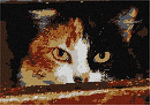 комплект за бродиране pepita: Заплашителен Котка, 14 x 10