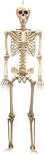 JOYIN 5-крак Скелет в реален размер за Хелоуин с очи Червена светлина, Човешки Кости и цялото тяло с възможност за връзки за декорация