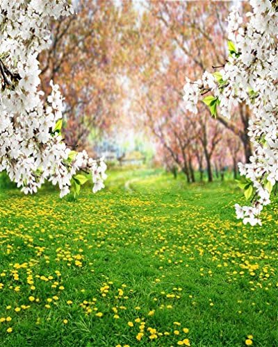 AOFOTO 10x10ft Пролетта Живописна Фона на Сладки Цветя Фон за Снимки Поляна Цвете, Цветя, Градински Съцветия Ливади Парк Дървета