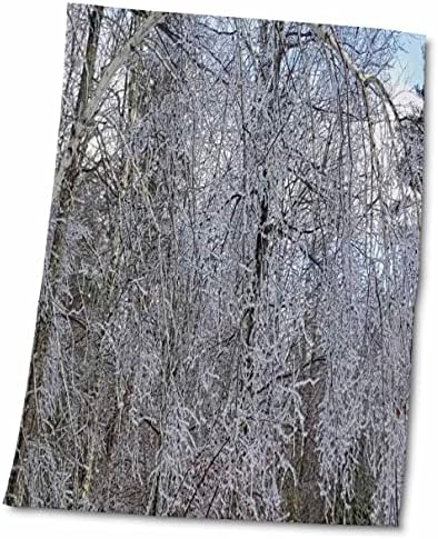 Кърпи 3dRose Winter Scenic Forest Ice Storm - Ледена буря в зимната гора (twl-284955-3)