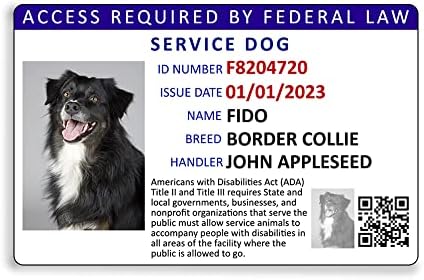 Идентификация карта услуга куче на Американския регистър на домашни любимци на поръчката + Регистрация в Регистъра на служебни животни